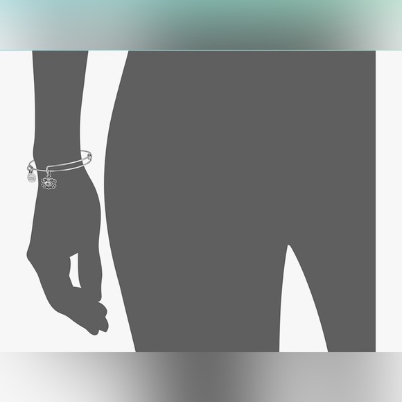 Alex and Ani Pineapple bangle bracelet Rafaelian silver - Picture 3 of 5